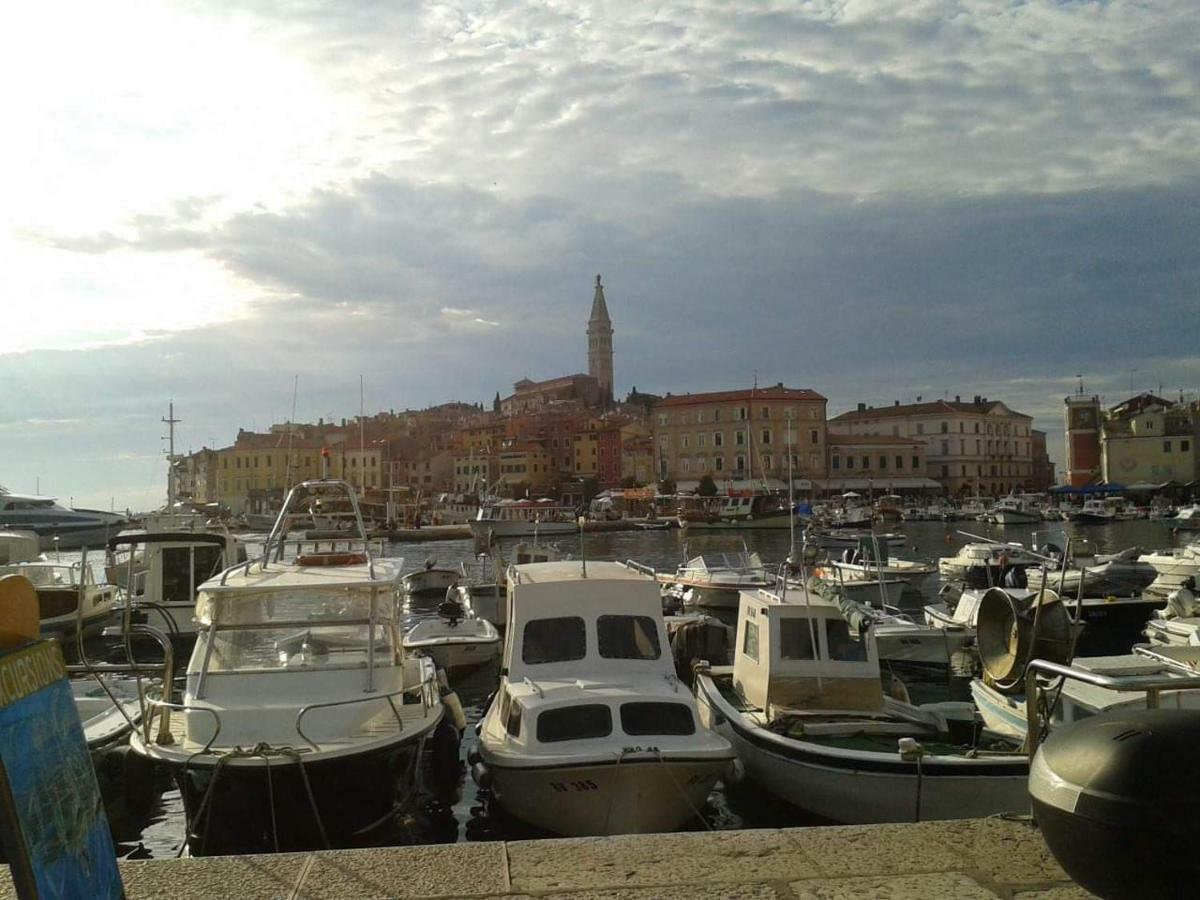 Apartments Erhart Rovinj Extérieur photo